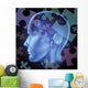 Puzzled Brain