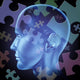 Puzzled Brain