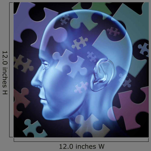Puzzled Brain