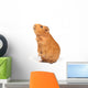 Guinea Pig Bags Wall Decal