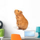 Guinea Pig Bags Wall Decal