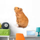 Guinea Pig Bags Wall Decal