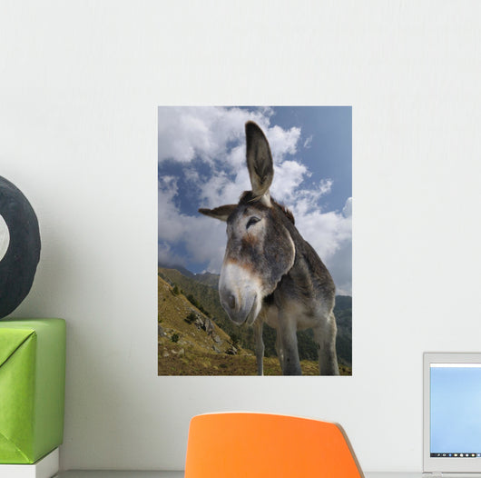 Donkey Equus Africanus Asinus Wall Mural