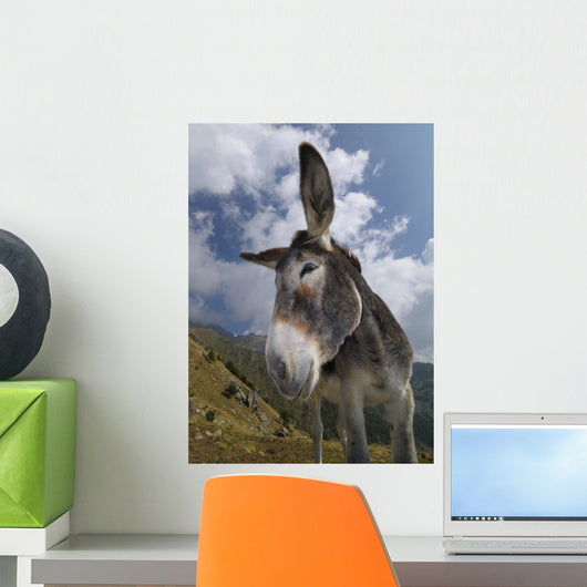Donkey Equus Africanus Asinus Wall Mural