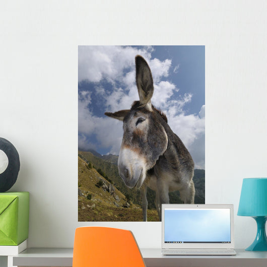 Donkey Equus Africanus Asinus Wall Mural
