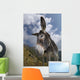 Donkey Equus Africanus Asinus Wall Mural