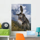 Donkey Equus Africanus Asinus Wall Mural