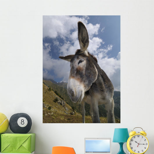 Donkey Equus Africanus Asinus Wall Mural