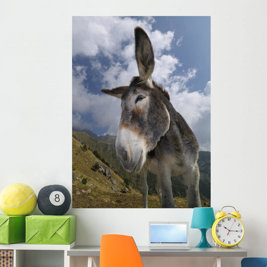 Donkey Equus Africanus Asinus Wall Mural