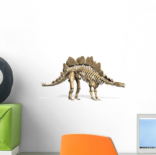 Stegosaurus Skeleton Wall Decal