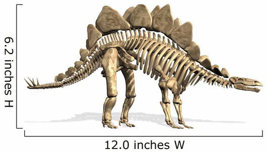 Stegosaurus Skeleton Wall Decal
