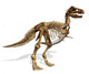 Tyrannosaurus Rex Skeleton Wall Decal