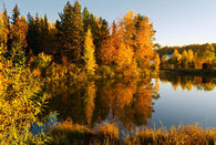 Autumn Landscape