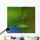 Water Drop