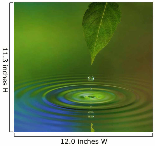 Water Drop