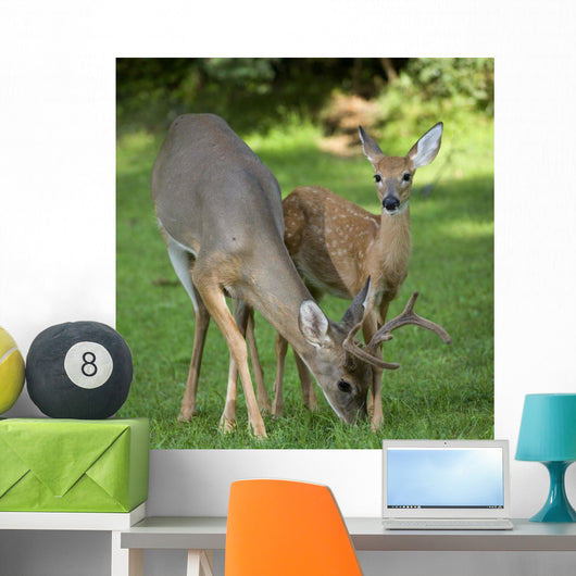 Father and Son Wall Mural