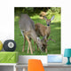 Father and Son Wall Mural