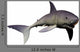 Mako Shark 01 Wall Decal
