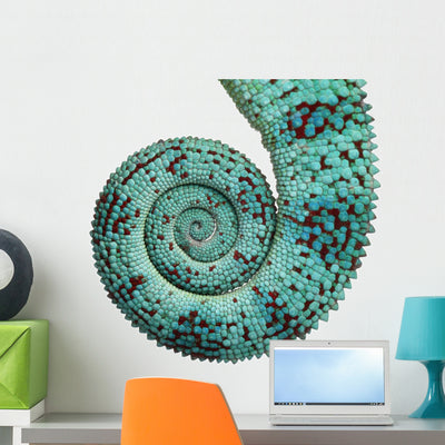 Close-up Panther Chameleon Nosy Wall Decal shown on a wall
