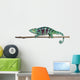 Panther Chameleon Walking Along Stick Wall Decal