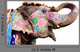 hand painted colorful elephant profile, Jaipur, Rajasthan,India Wall Decal