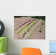 Jardin Potager Campagne Wall Decal