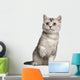 British Shorthair Kitten 4 Wall Decal