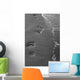 Footprints Bn Wall Decal