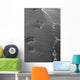 Footprints Bn Wall Decal