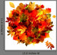 Autumn Bouquet with Leaf