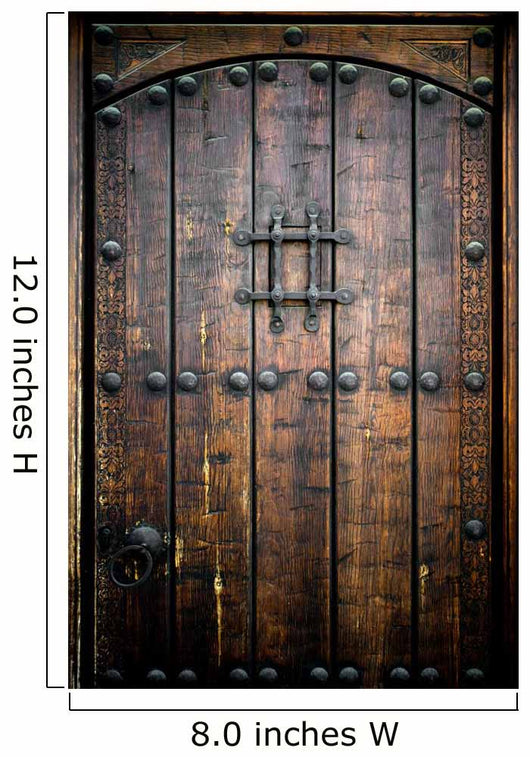 Ancient wooden door Wall Mural