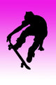 The Skateboard Rider Wall Mural