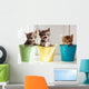 Funny kittens Wall Mural