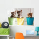 Funny kittens Wall Mural