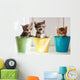 Funny kittens Wall Mural