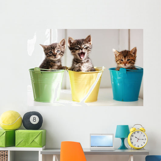 Funny kittens Wall Mural