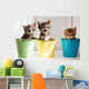 Funny kittens Wall Mural