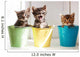 Funny kittens Wall Mural