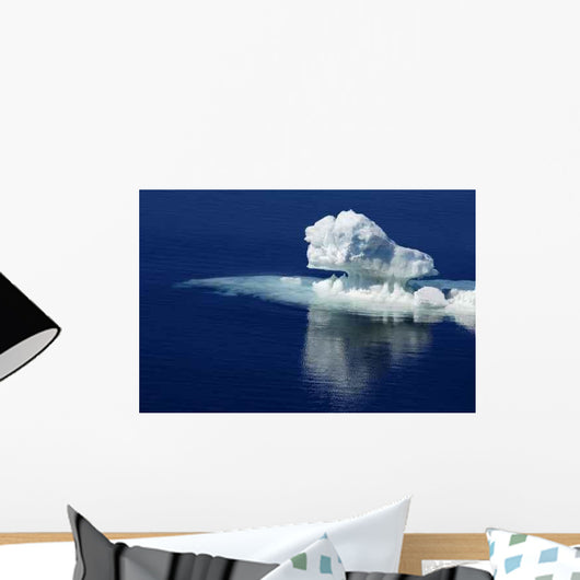 Pure Antarctic Ice Wall Decal