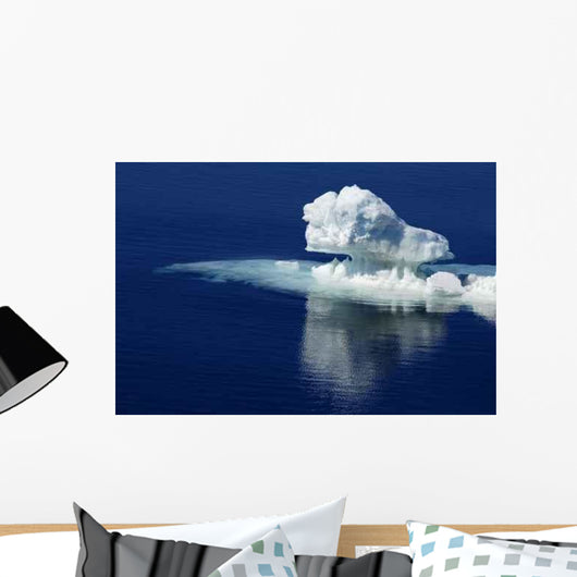 Pure Antarctic Ice Wall Decal