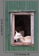 Goat Barn Window