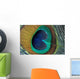 Peacock Feather Closeup Wall Mural