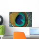 peacock feather closeup Wall Mural