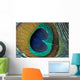 peacock feather closeup Wall Mural