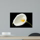 Charming Calla Lily Wall Mural