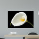 Charming Calla Lily Wall Mural