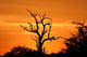 African Sunset 2 Wall Decal
