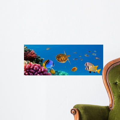 Underwater Panorama with Turtle Wall Mural shown on a wall