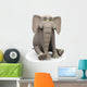 Elephante Cartoon Sit Pose