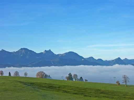 Nebelstimung im Allgau Wall Decal